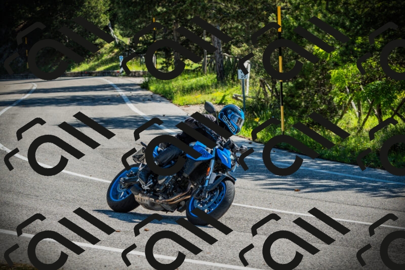 202506021001-DSC02549_c1_