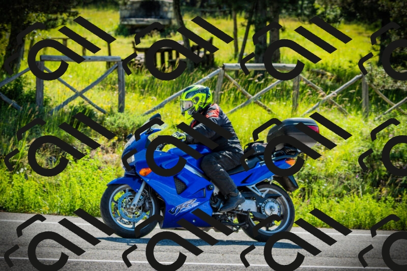 202506021001-DSC02557_c1_