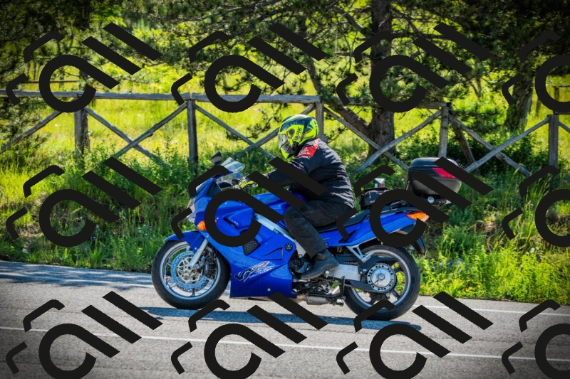 202506021001-DSC02558_c1_