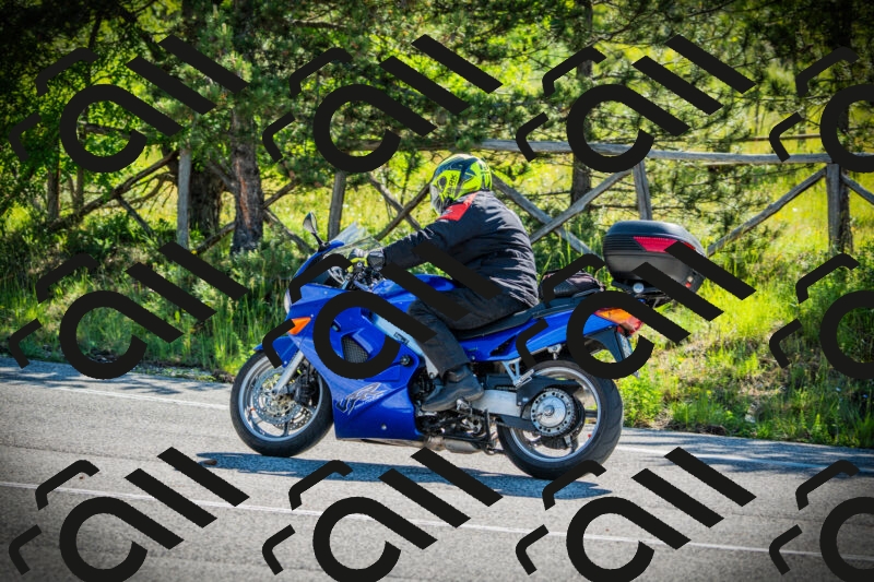 202506021001-DSC02559_c1_