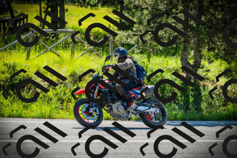 202506021004-DSC02564_c1_