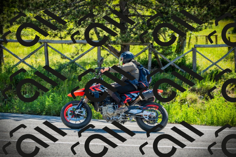 202506021004-DSC02565_c1_