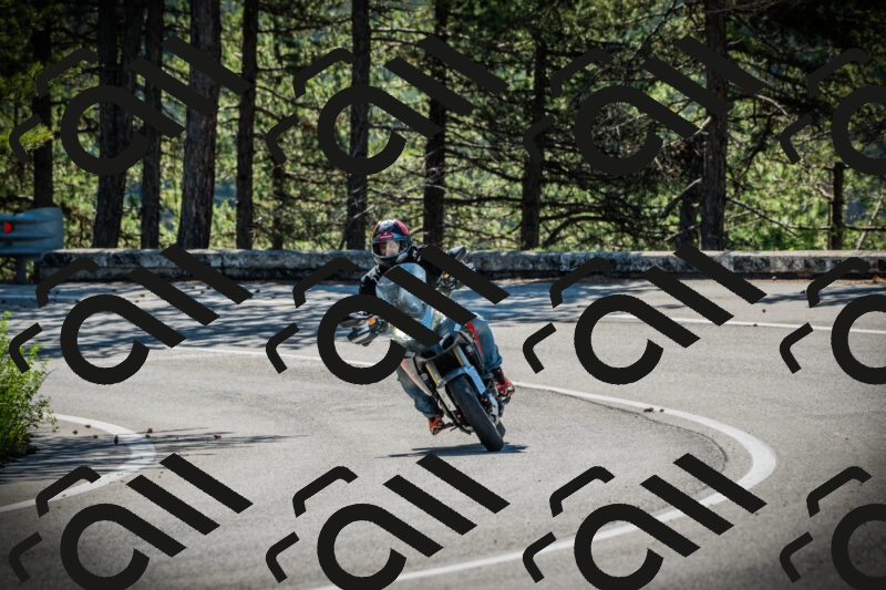 202506021006-DSC02569_c1_