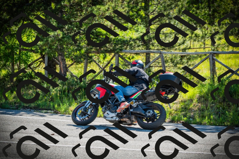 202506021006-DSC02573_c1_