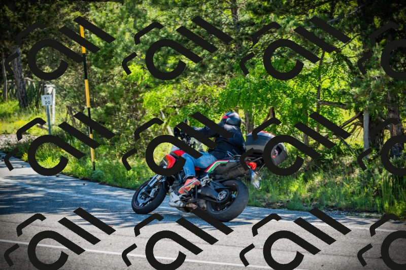 202506021006-DSC02574_c1_