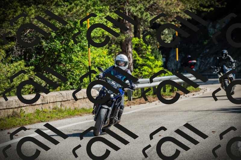 202506021006-DSC02576_c1_