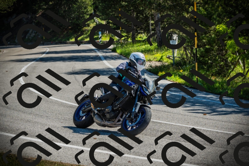 202506021006-DSC02578_c1_