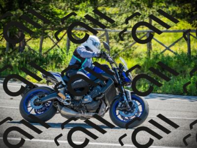 202506021006-DSC02579_c1_