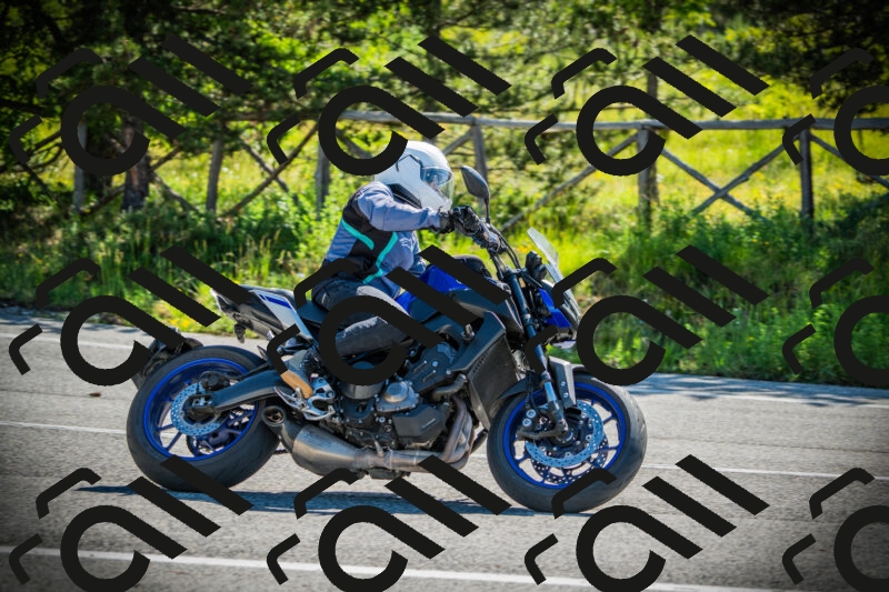 202506021006-DSC02579_c1_