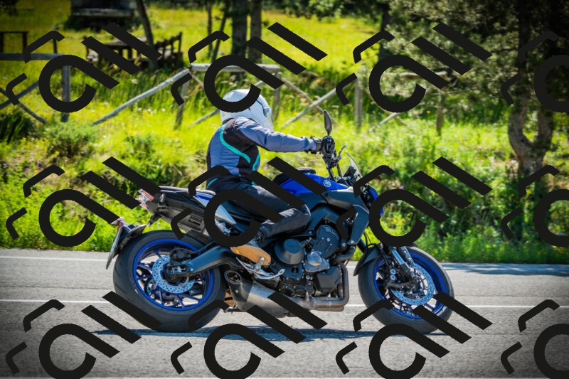 202506021006-DSC02580_c1_