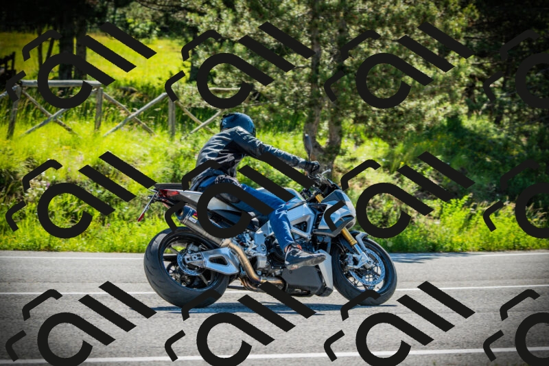 202506021006-DSC02583_c1_