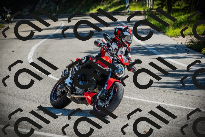 202506021006-DSC02585_c1_