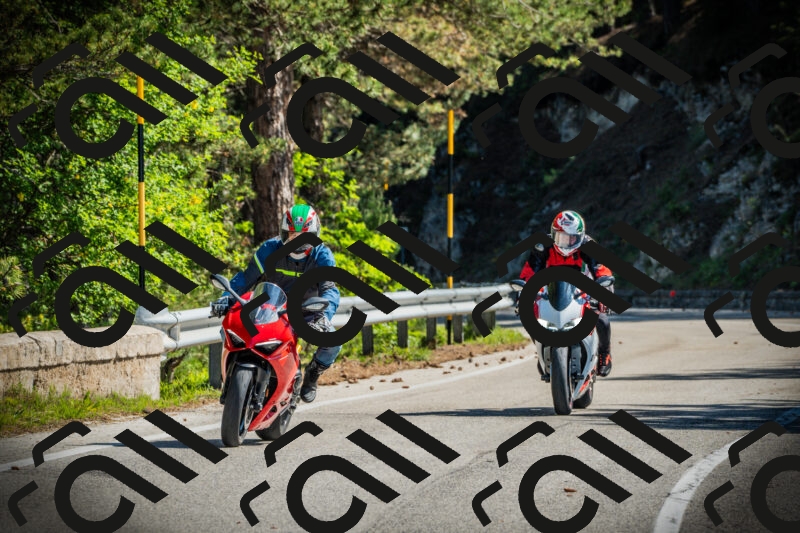 202506021006-DSC02595_c1_