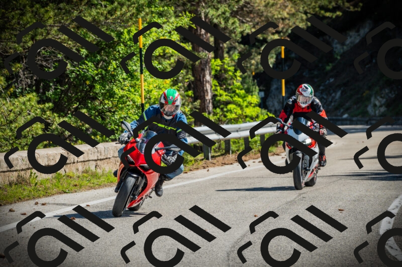 202506021006-DSC02596_c1_