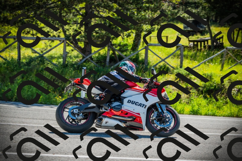 202506021006-DSC02599_c1_