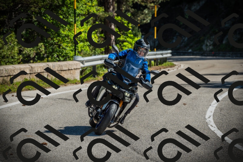 202506021008-DSC02615_c1_