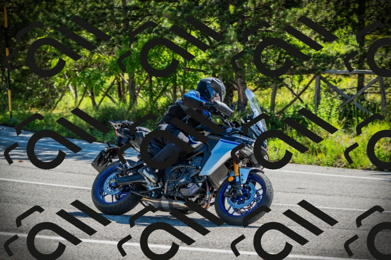 202506021008-DSC02616_c1_