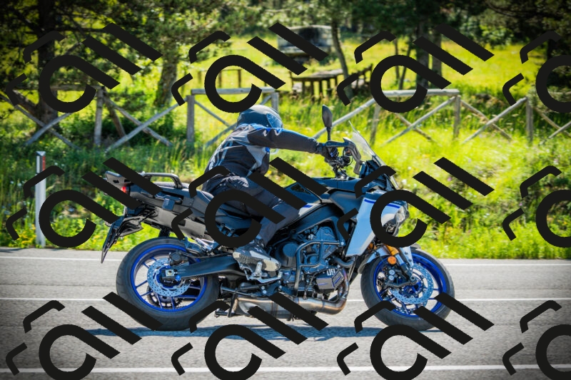 202506021008-DSC02617_c1_