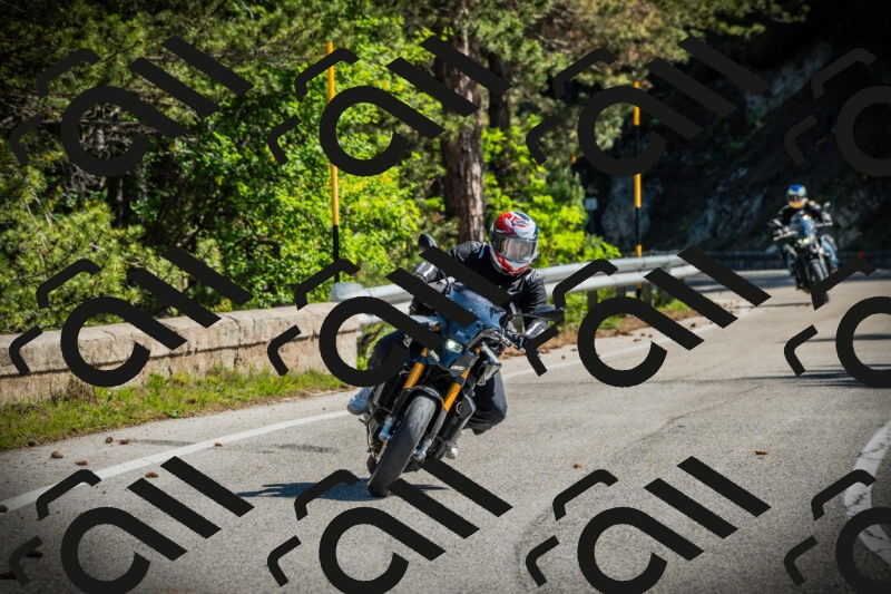 202506021010-DSC02621_c1_