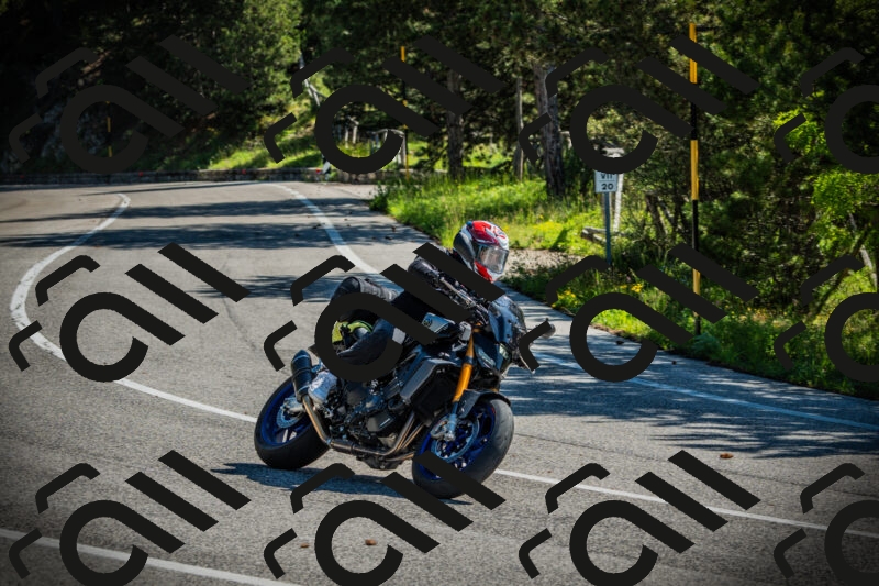 202506021010-DSC02622_c1_