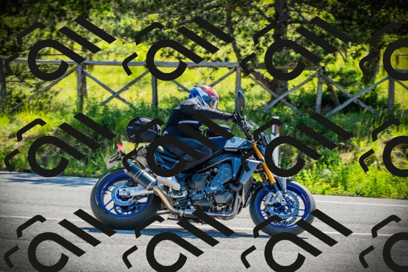 202506021010-DSC02623_c1_