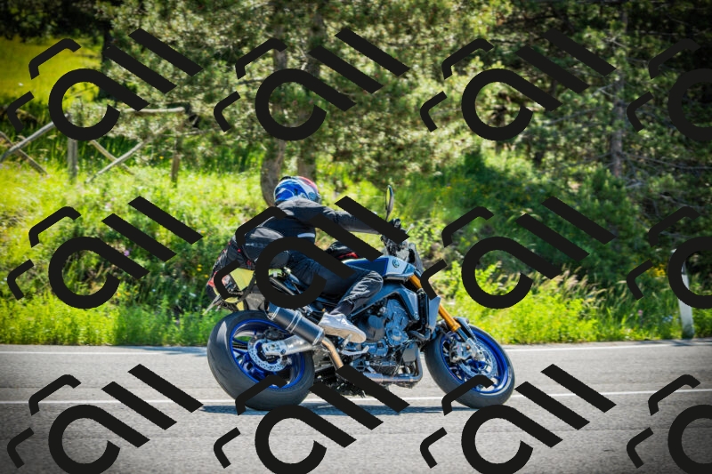 202506021010-DSC02624_c1_