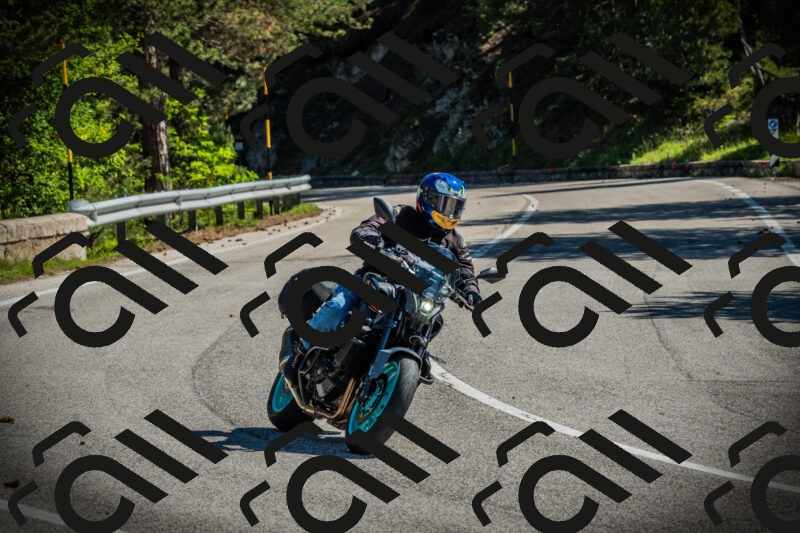 202506021010-DSC02625_c1_