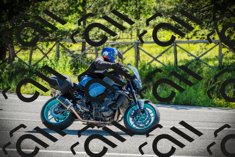 202506021010-DSC02626_c1_