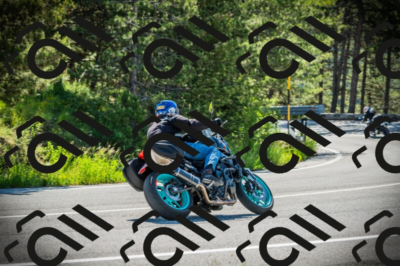 202506021010-DSC02628_c1_