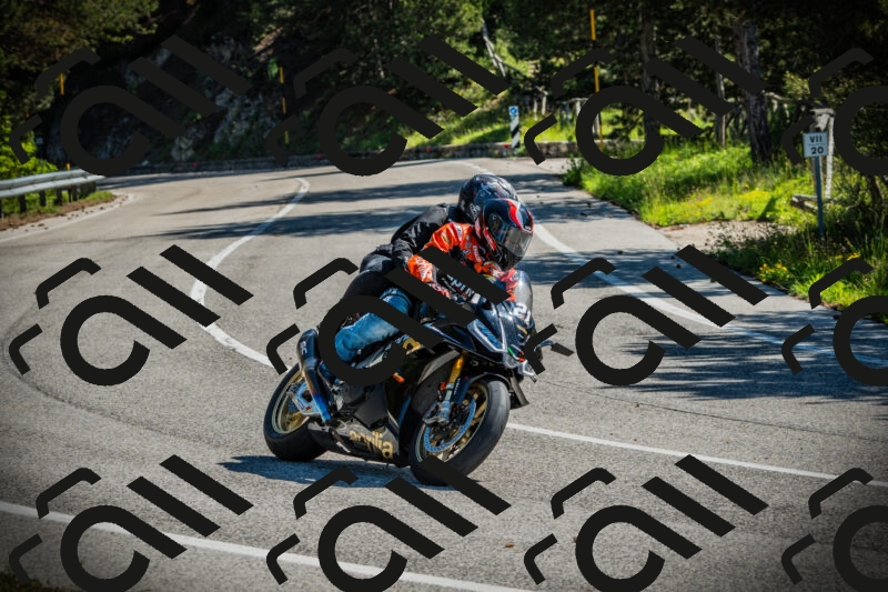 202506021011-DSC02633_c1_