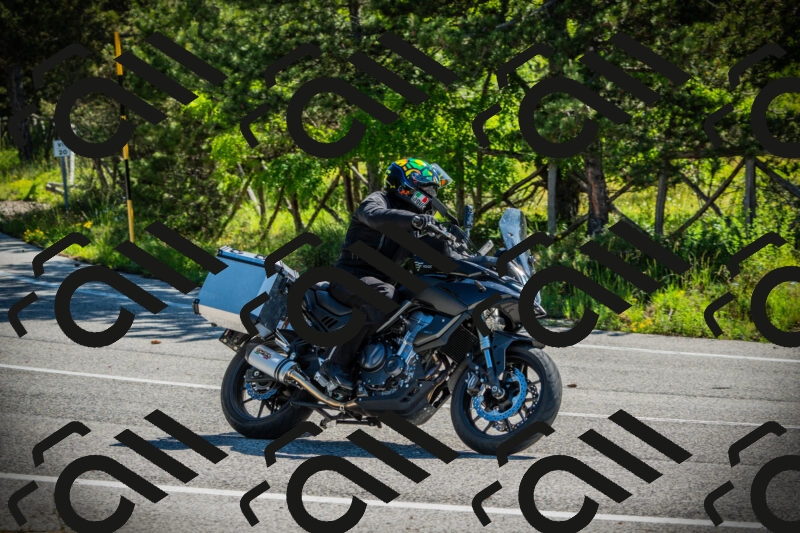 202506021011-DSC02635_c1_