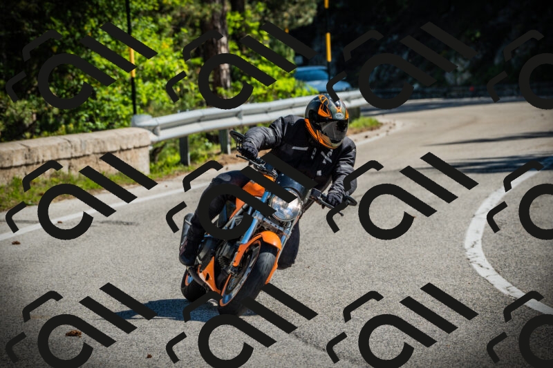 202506021011-DSC02638_c1_