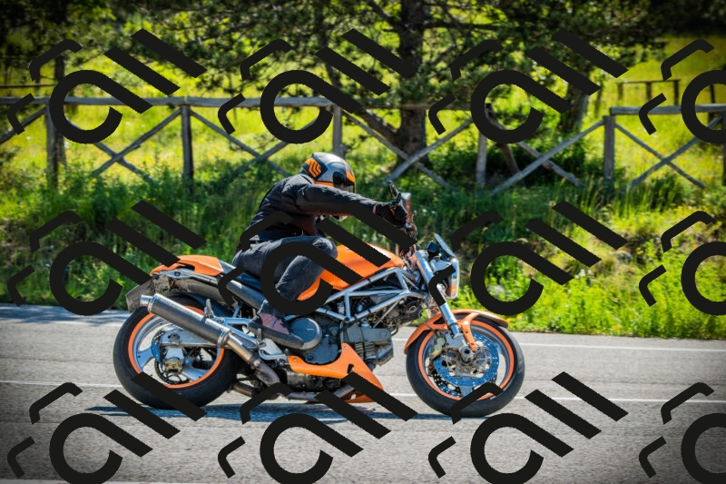 202506021011-DSC02639_c1_