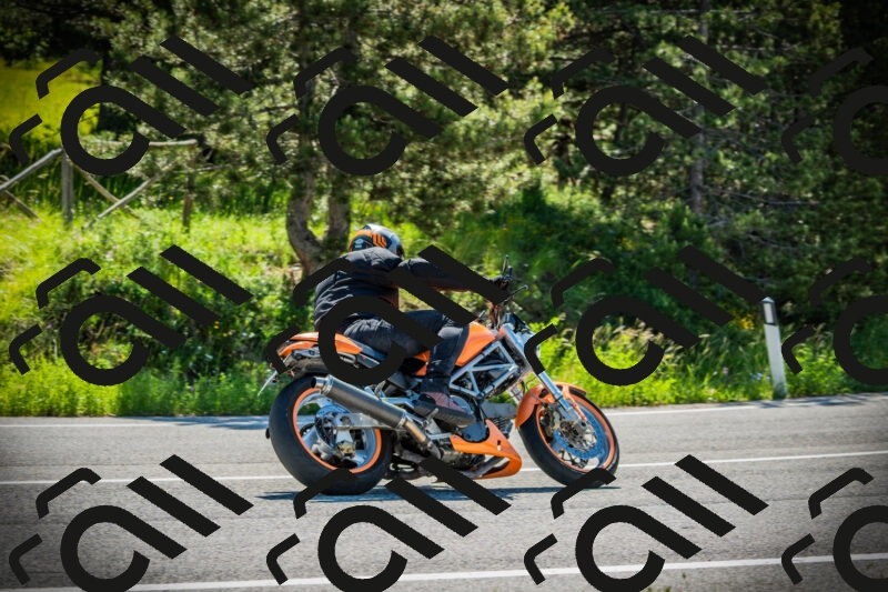 202506021011-DSC02640_c1_