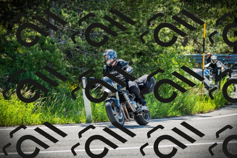 202506021011-DSC02642_c1_