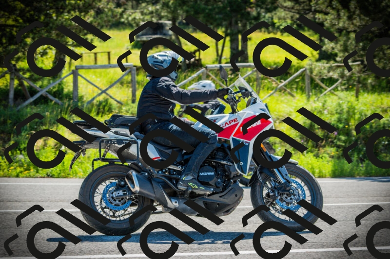 202506021011-DSC02645_c1_