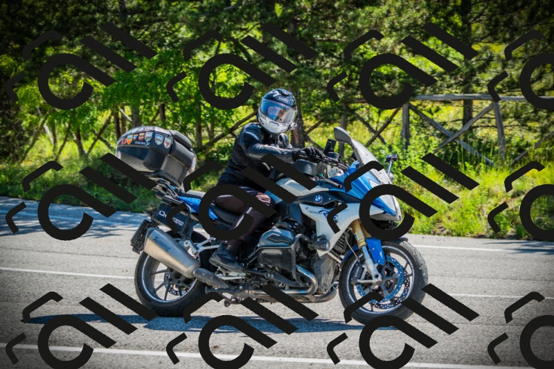 202506021011-DSC02649_c1_