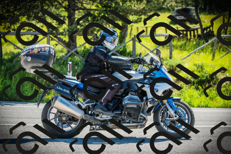 202506021011-DSC02650_c1_