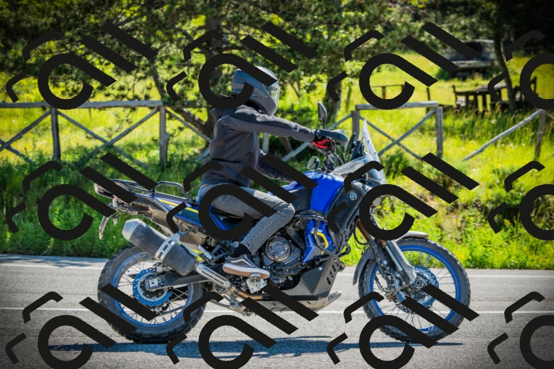 202506021011-DSC02651_c1_