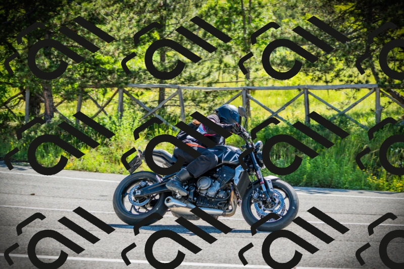 202506021011-DSC02660_c1_