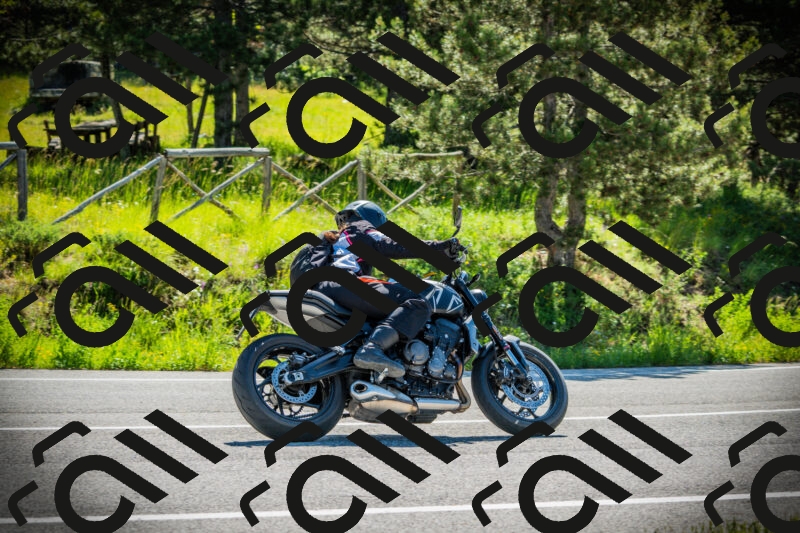 202506021011-DSC02661_c1_