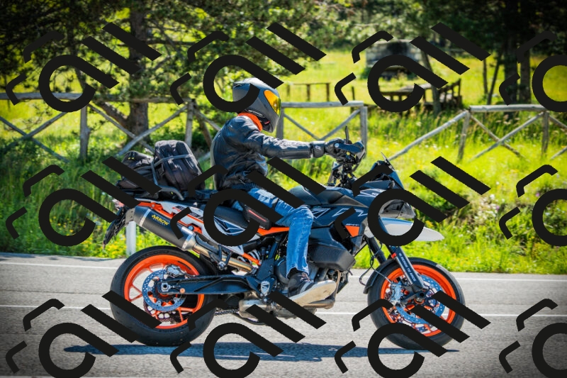 202506021012-DSC02665_c1_