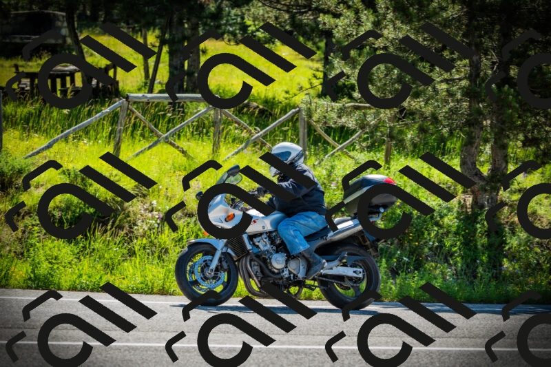 202506021012-DSC02671_c1_