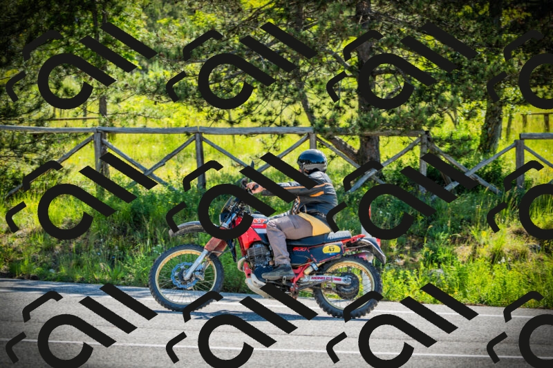 202506021012-DSC02676_c1_