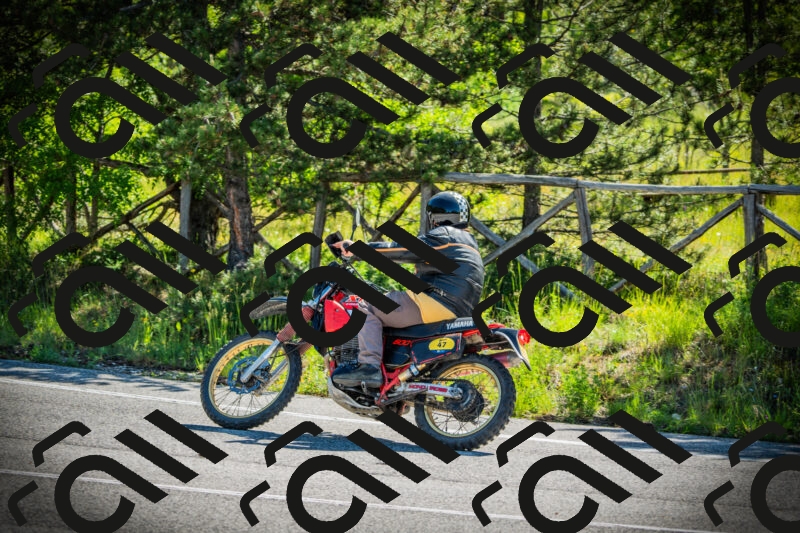 202506021012-DSC02677_c1_