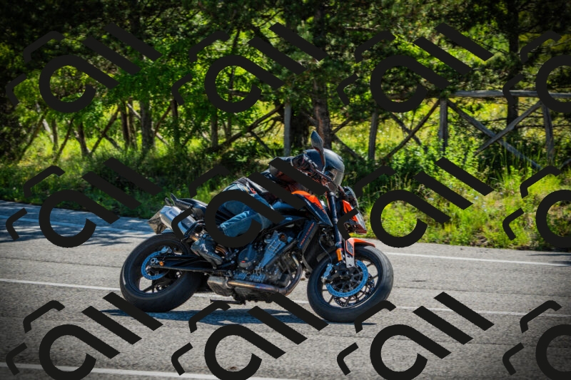 202506021013-DSC02680_c1_