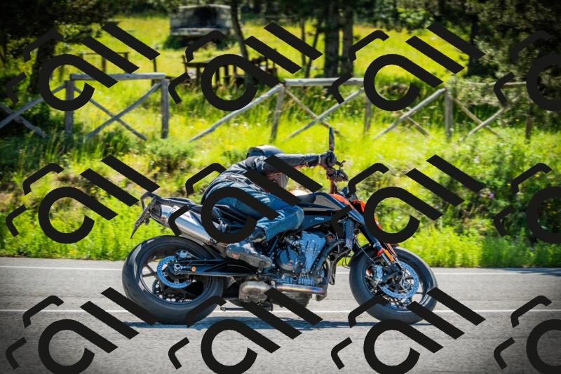 202506021013-DSC02681_c1_