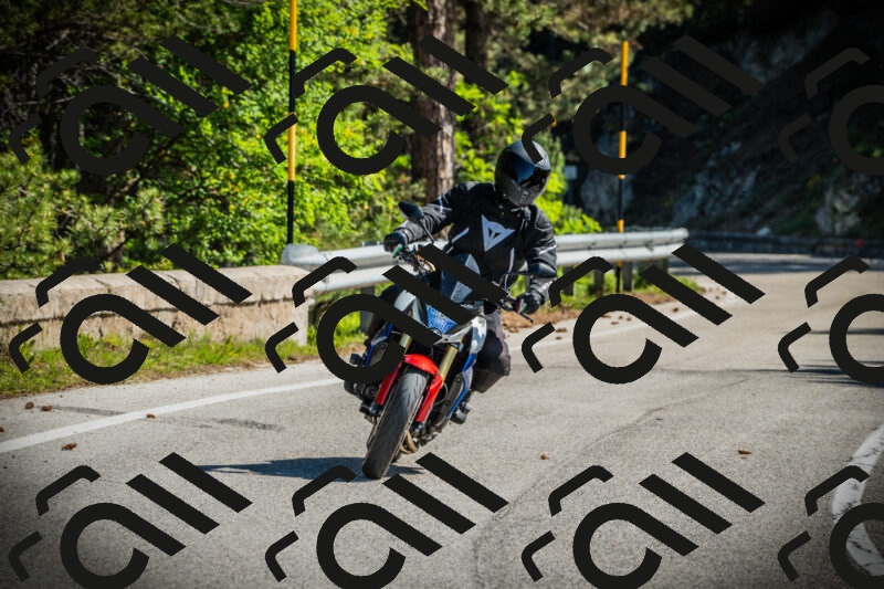 202506021013-DSC02685_c1_