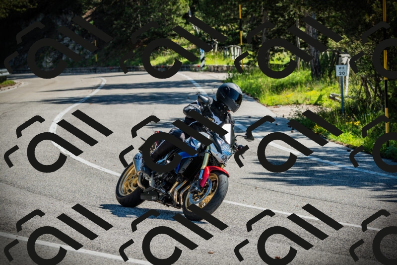 202506021013-DSC02686_c1_