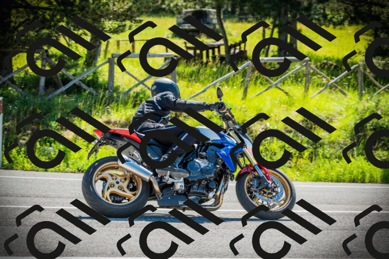 202506021013-DSC02687_c1_